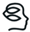 33-solaries.png
